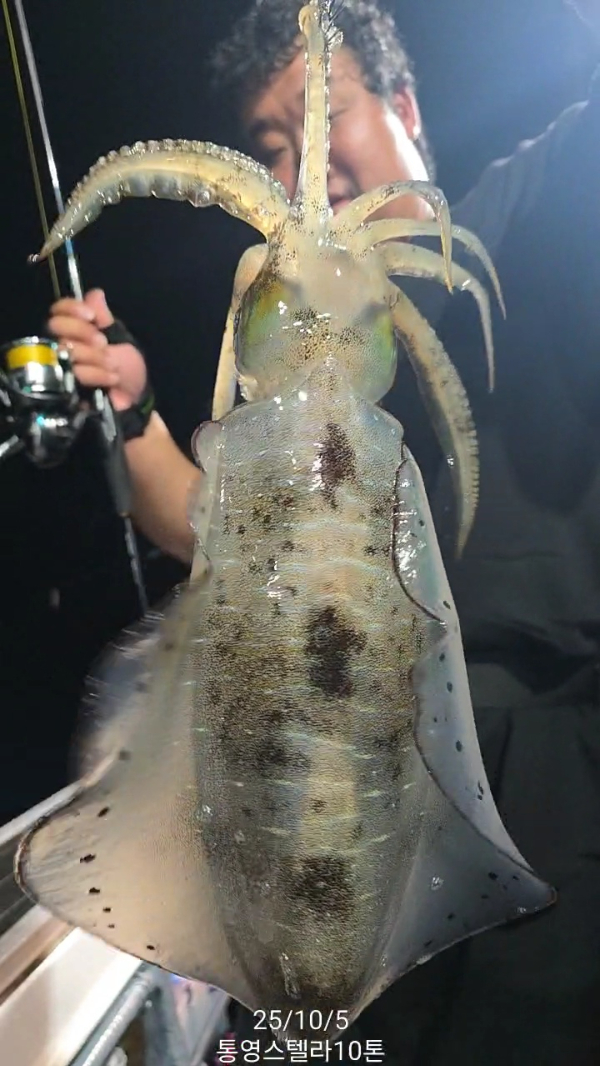 TimeVideo_20251005_035943.jpg