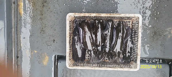 DateCamera1013093405.jpg