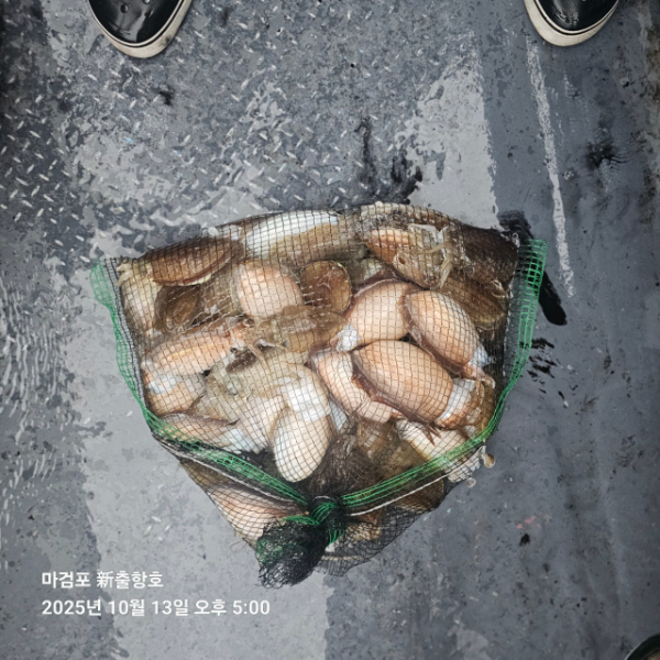 ꫛꫀꪝ✧‧˚ 태안 마검포 新출항호 .• _˚☀₊_사진_20251013_6.jpg