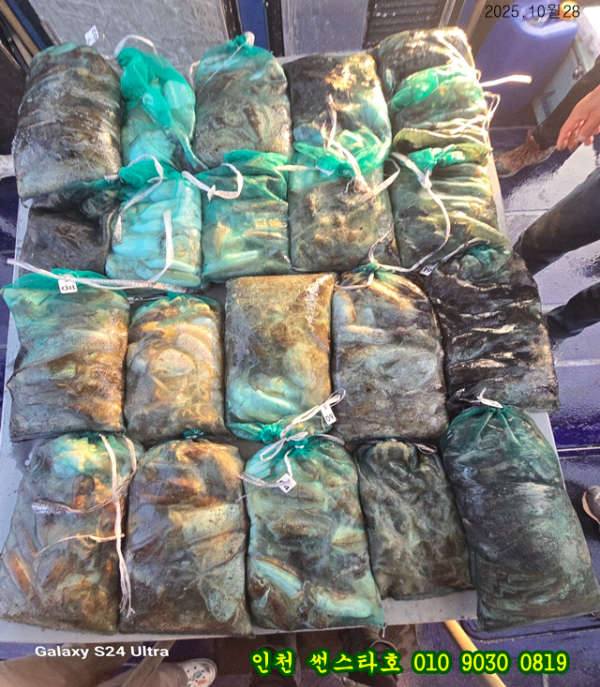 10월28 썬 (12).jpg