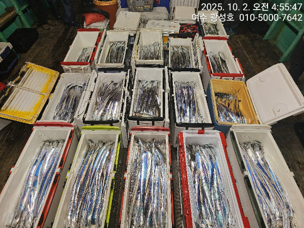 KakaoTalk_20251002_144303273_11.jpg