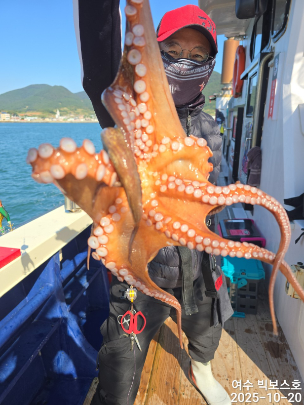 ♡ 여수 빅보스 ♡문어,갑오징어,쭈꾸미,타이라바(참돔)_사진_20251020_4.jpg