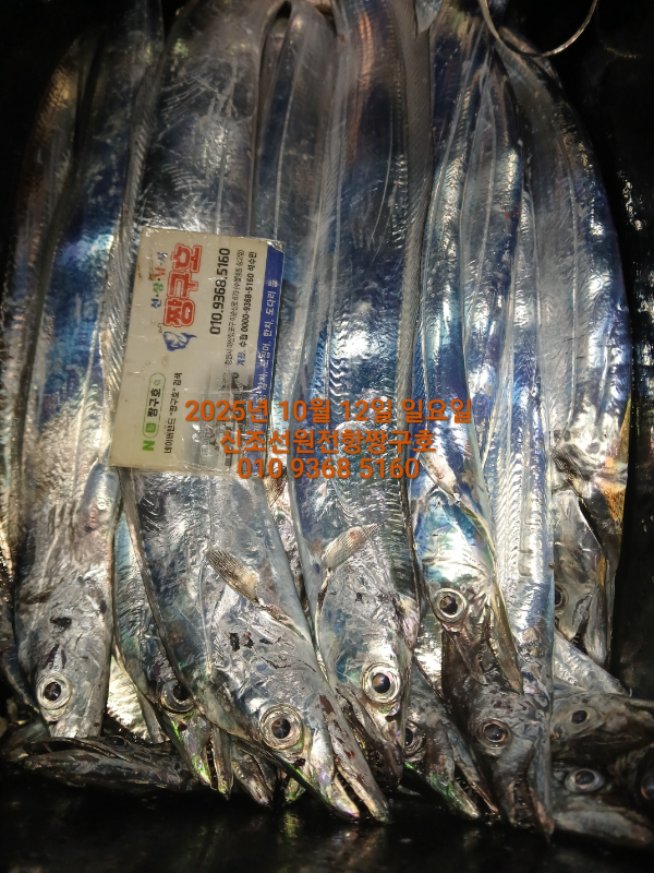 KakaoTalk_20251012_065148435_01.jpg