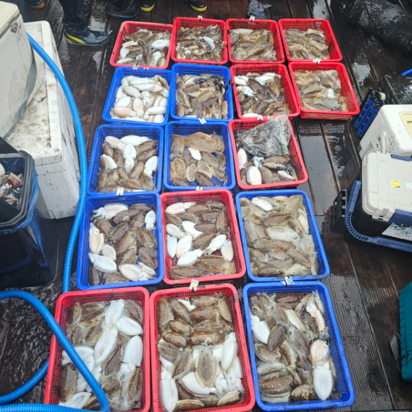 마검포 대한호(VIP)_사진_20251006_4.jpg