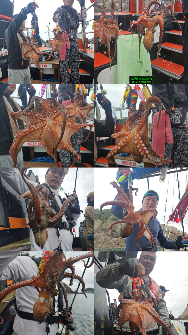KakaoTalk_20251009_114737303_01.jpg