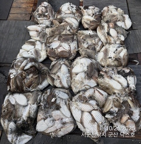 군산 선상낚시, 바다낚시 출조 전문 ☆서군산낚시☆_사진_20251025_2.jpg