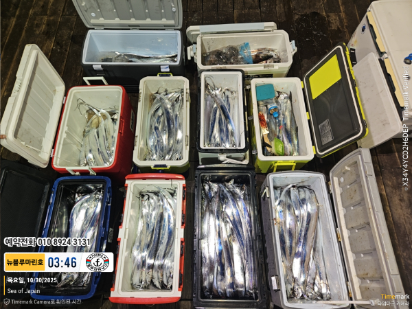 2025-10-30 03.46.58_Japan_(제목-뉴블루마린호)_(예약전화 010 8924 3131).jpg