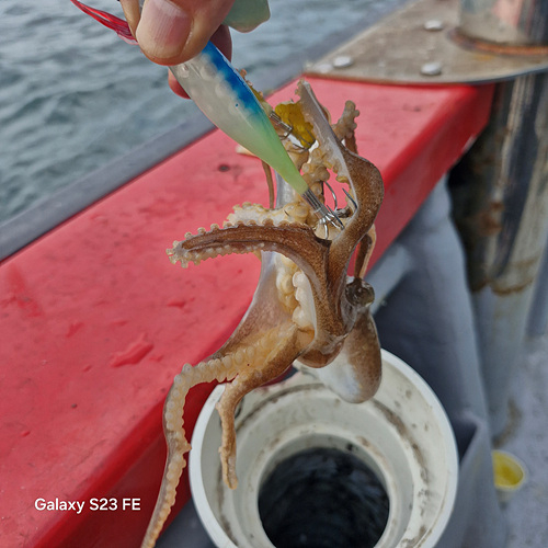 인천쭈꾸미낚시 (3).jpg