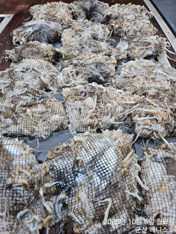 KakaoTalk_20251006_153228704_04 (1).jpg