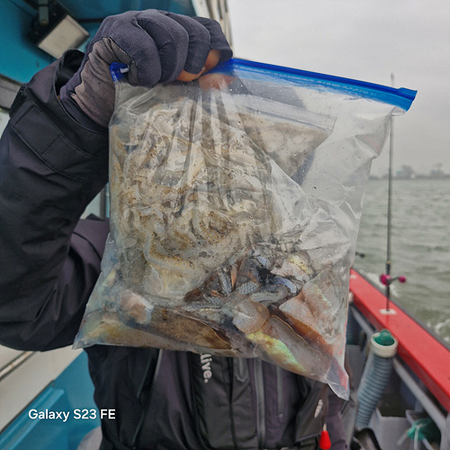 인천쭈꾸미낚시 (17).jpg