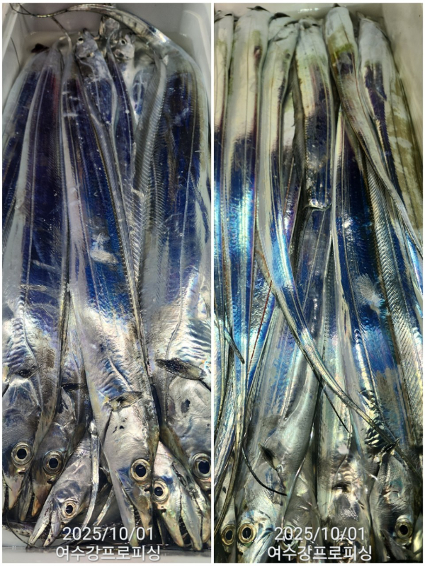 6e63aef9280fd11c09608f262528206c.jpg