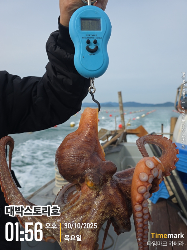 2025-10-30 01.56.44__(대박스토리호).jpg