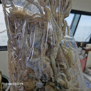 인천쭈꾸미낚시 (2).jpg