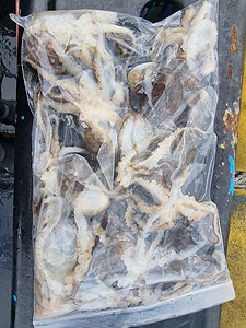 인천쭈꾸미낚시 (7).jpg