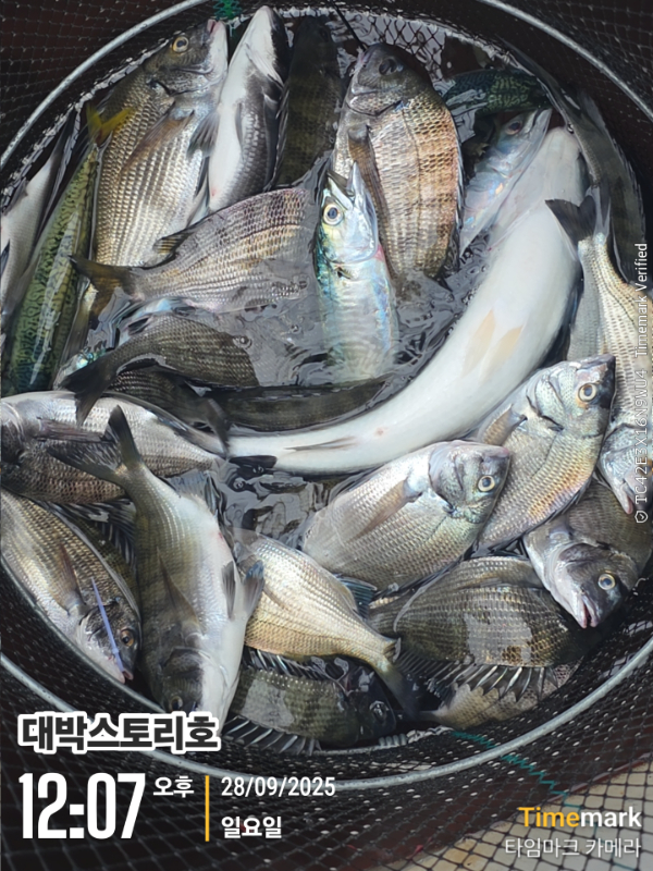 2025-09-28 12.07.44__(대박스토리호).jpg