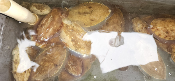 예지퀸호 농어외수질&어초낚시 경기인천권_사진_20251002_9.jpg