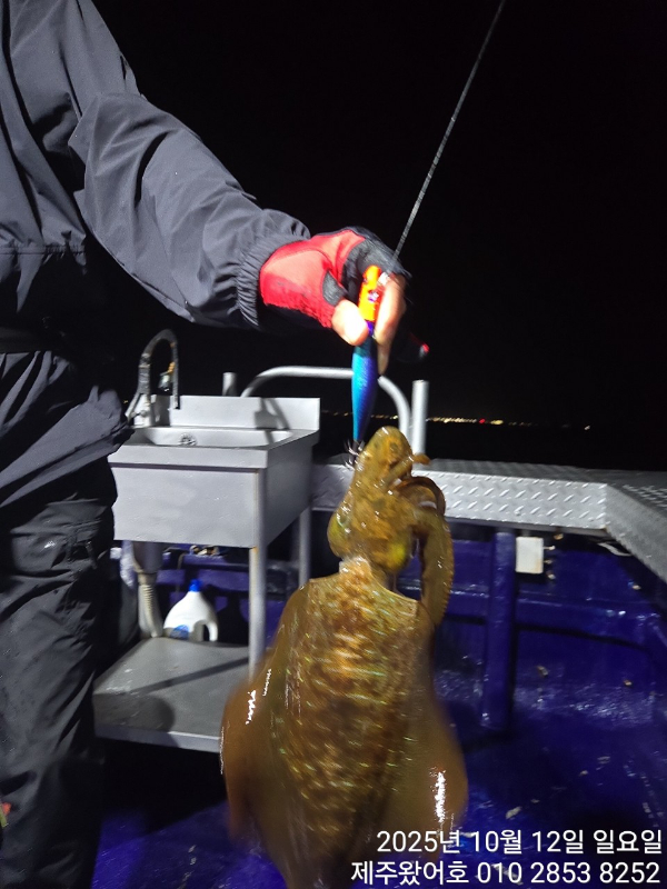 제주왔어호_사진_20251013_39.jpg
