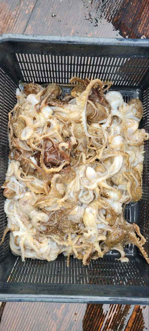 예지퀸호 농어외수질&어초낚시 경기인천권_사진_20251026_14.jpg