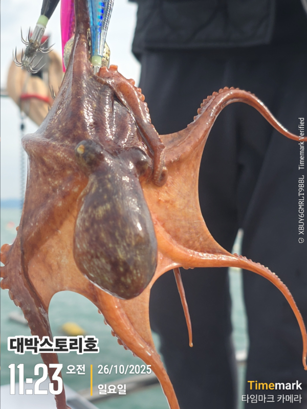 2025-10-26 11.23.37__(대박스토리호).jpg