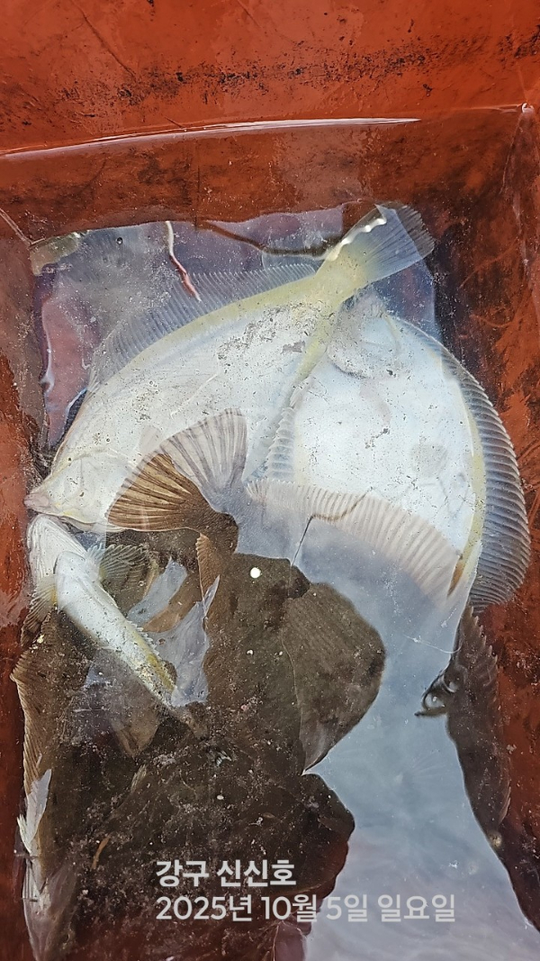 신신낚시 강구점 신신호_사진_20251005_14.jpg