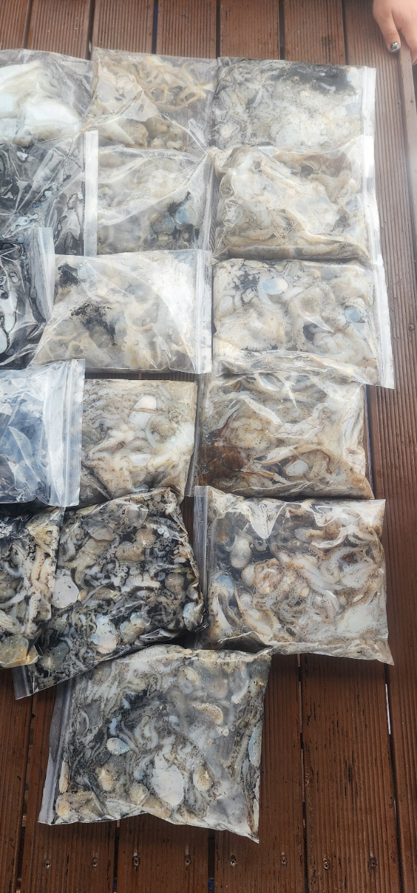KakaoTalk_20251004_160800172.jpg