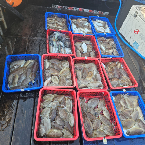 마검포 대한호(VIP)_사진_20251029_2.jpg