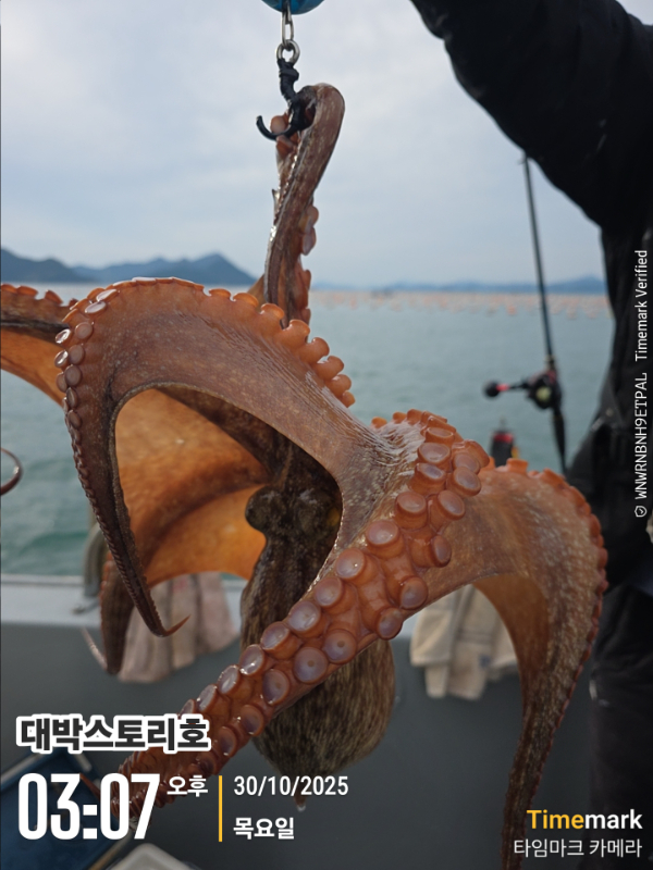 2025-10-30 03.07.26__(대박스토리호).jpg