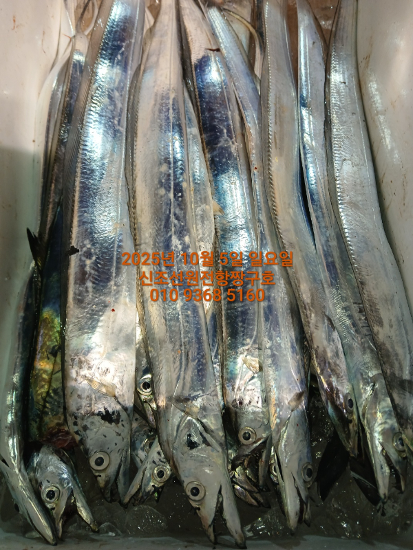 KakaoTalk_20251005_140543918_02.jpg