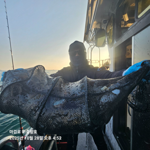ꫛꫀꪝ✧‧˚ 태안 마검포 新출항호 .• _˚☀₊_사진_20251028_1.jpg