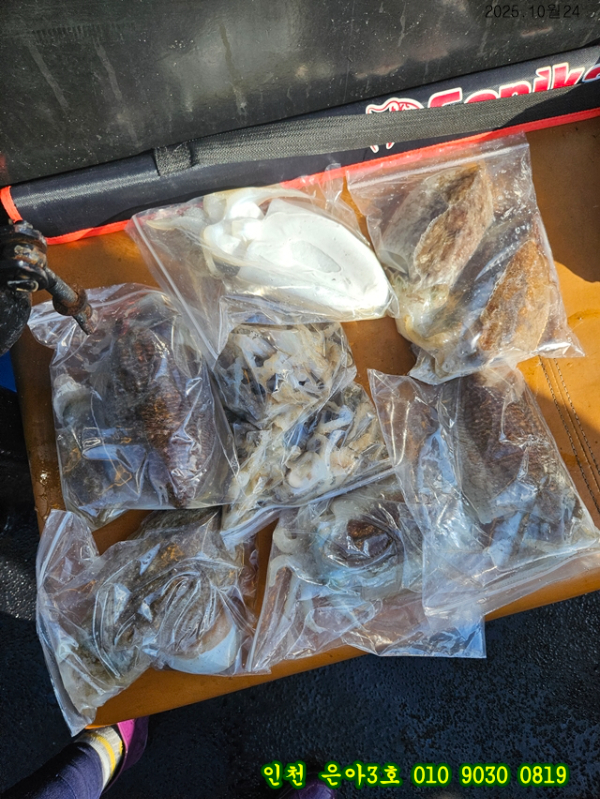 10월24 3호 (5).jpg