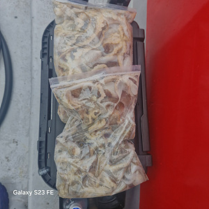 인천쭈꾸미낚시 (9).jpg