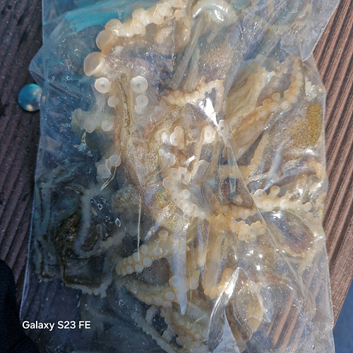 인천쭈꾸미낚시 (11).jpg