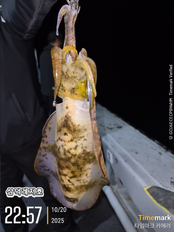 2025-10-20 22.57.43_.jpg