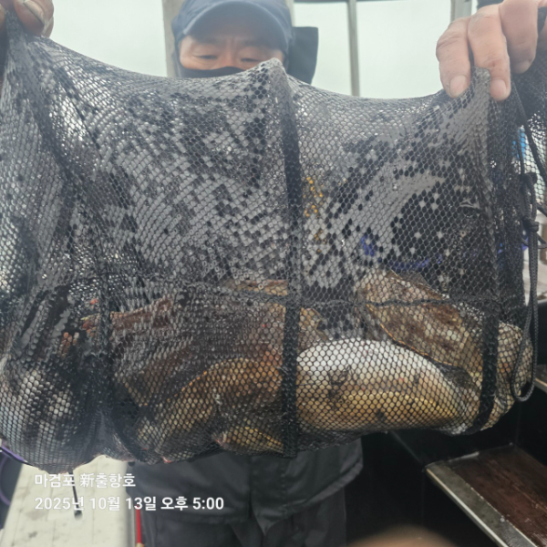 ꫛꫀꪝ✧‧˚ 태안 마검포 新출항호 .• _˚☀₊_사진_20251013_4.jpg