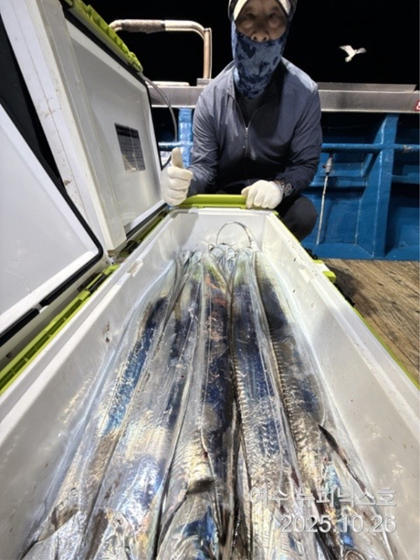 26일대갈치 (3).jpg