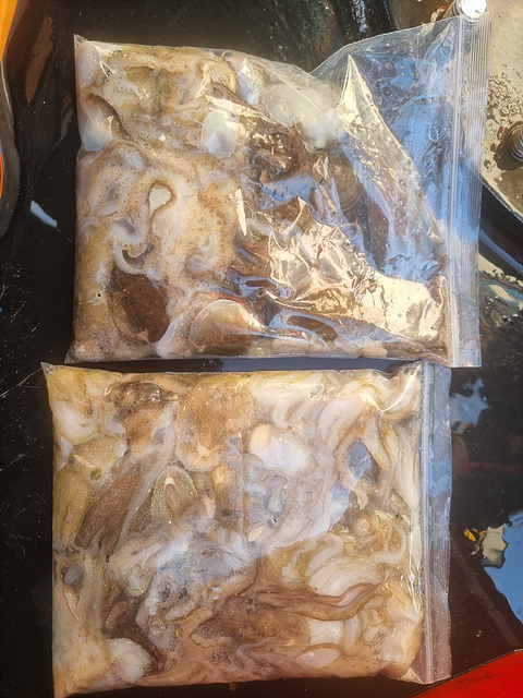 인천쭈꾸미낚시 (17).jpg