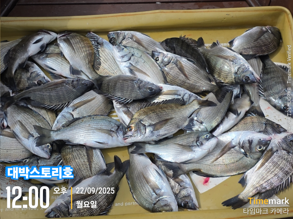 2025-09-22 12.00.11__(대박스토리호).jpg