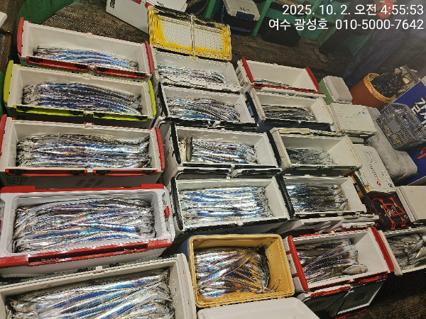 KakaoTalk_20251002_144303273_12.jpg