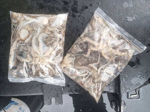 인천쭈꾸미낚시 (13).jpg