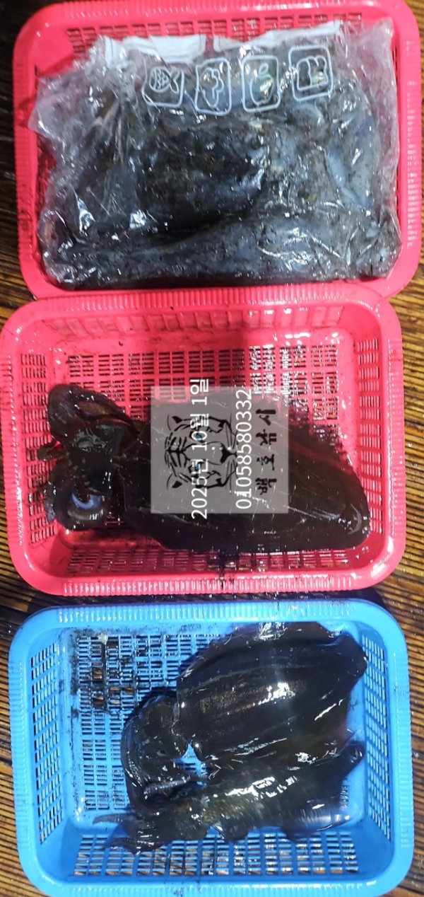 744c828acae25a26a1c91c7c00676727.jpg