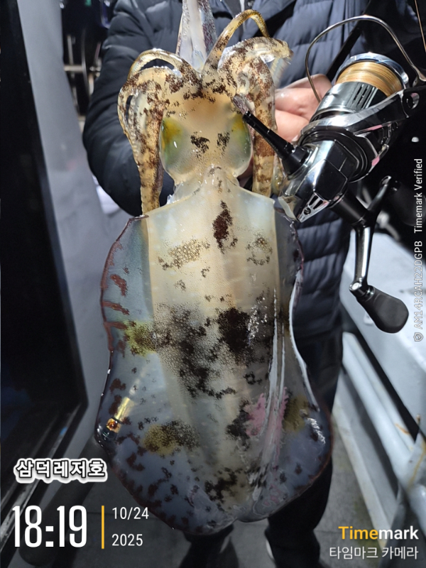 2025-10-24 18.19.42_.jpg