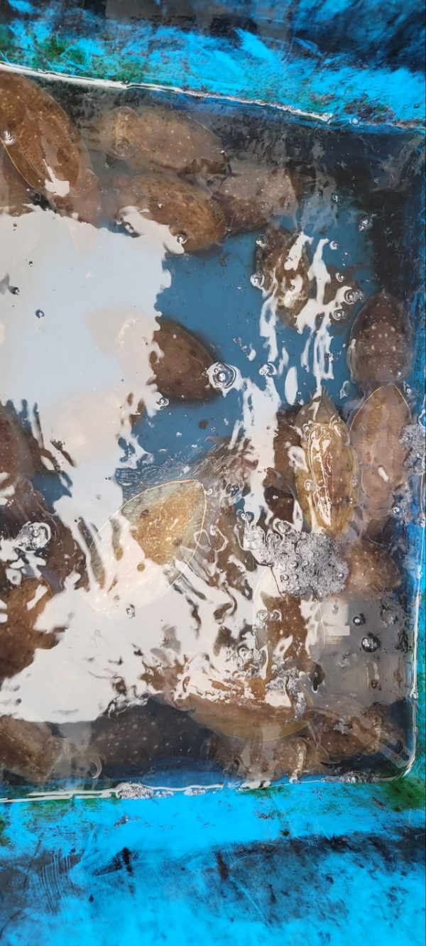 예지퀸호 농어외수질&어초낚시 경기인천권_사진_20251004_11.jpg