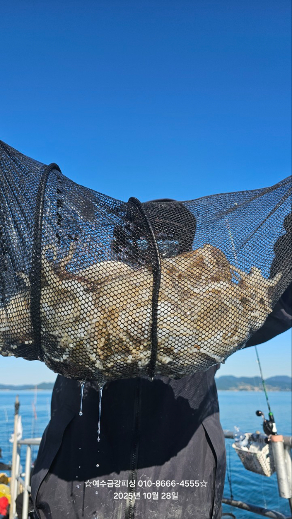 여수금강피싱_사진_20251028_1.jpg