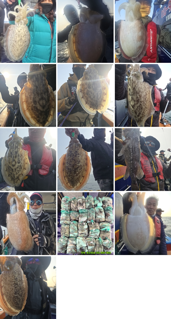 10월30 썬 (1)-tile.jpg