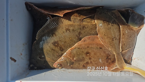 신신낚시 강구점 신신호_사진_20251012_9.jpg