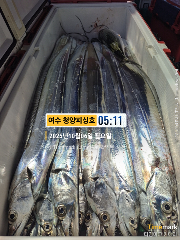 2025-10-06 05.11.56__(제목-여수 청양피싱호).jpg