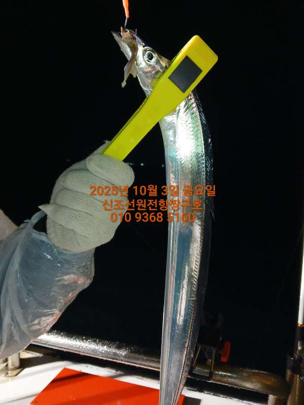 KakaoTalk_20251004_120642839_07.jpg