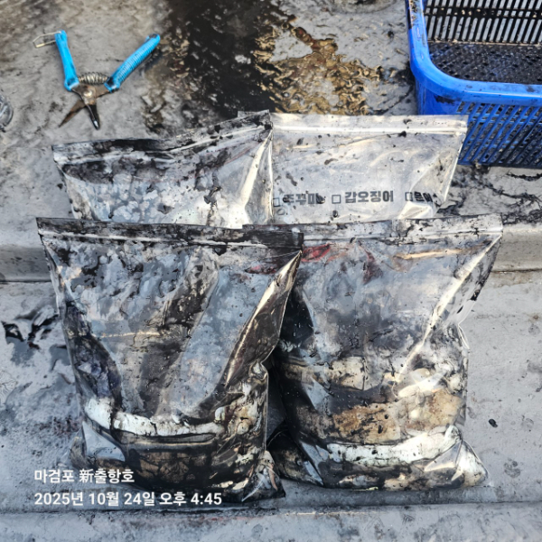 ꫛꫀꪝ✧‧˚ 태안 마검포 新출항호 .• _˚☀₊_사진_20251024_3.jpg