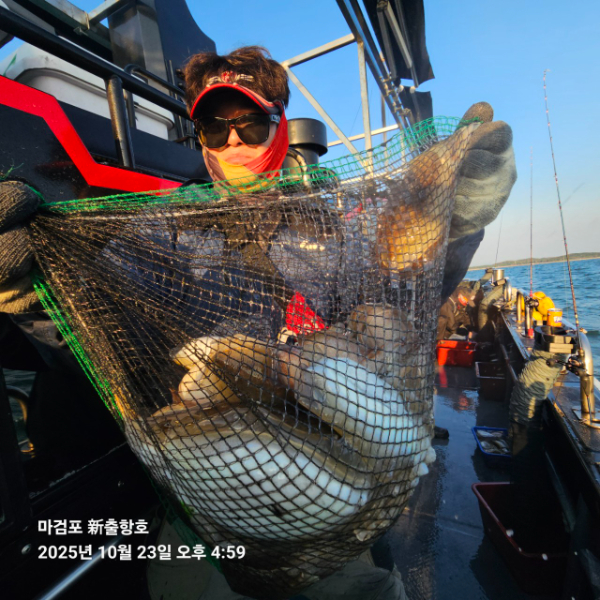 ꫛꫀꪝ✧‧˚ 태안 마검포 新출항호 .• _˚☀₊_사진_20251023_7.jpg