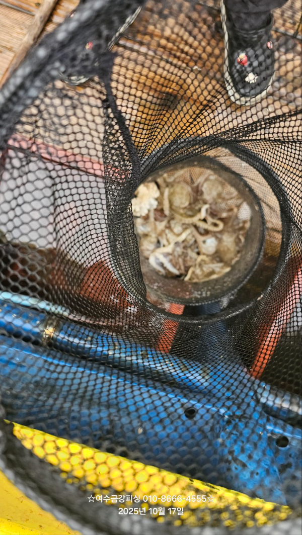 여수금강피싱_사진_20251017_9.jpg